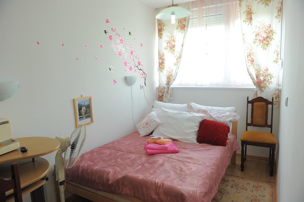 Apartment Daca Stan Beograd Bagian luar foto