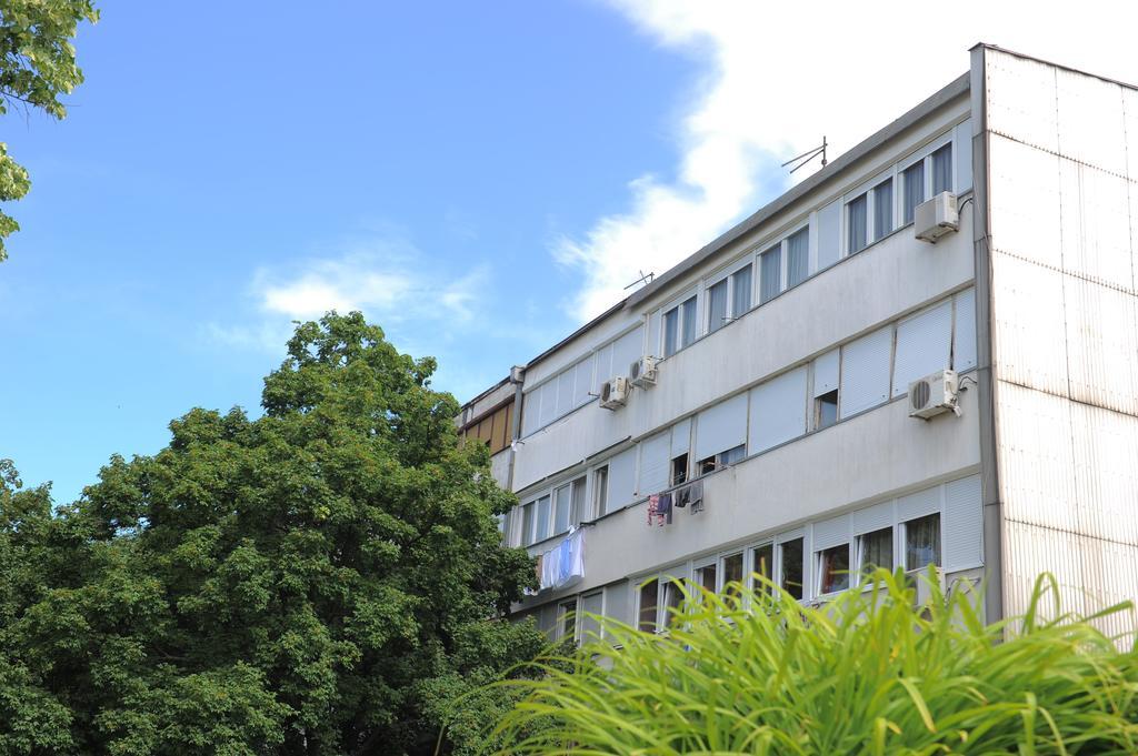 Apartment Daca Stan Beograd Bagian luar foto