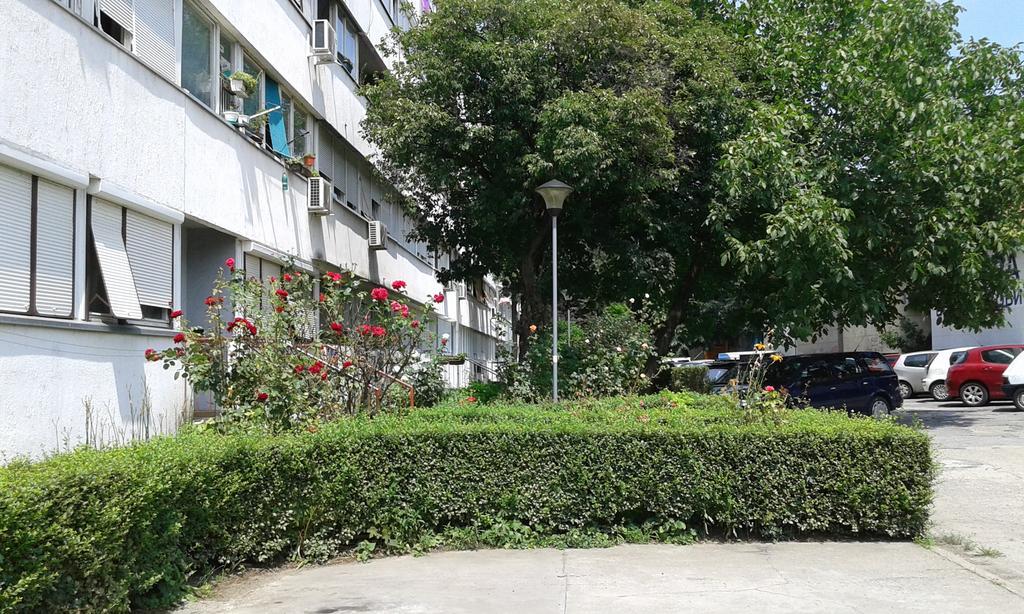 Apartment Daca Stan Beograd Bagian luar foto